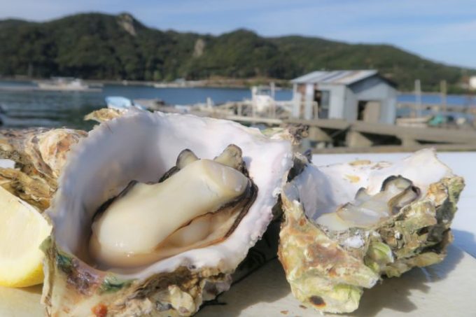 夏だって牡蠣が食べたい！ 鳥羽市が断然オススメ＋αで観光も楽しもう